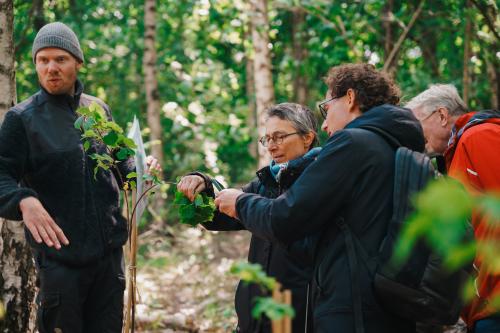 Groep mensen in het bos